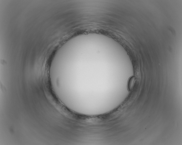 X0000090970468200708021146