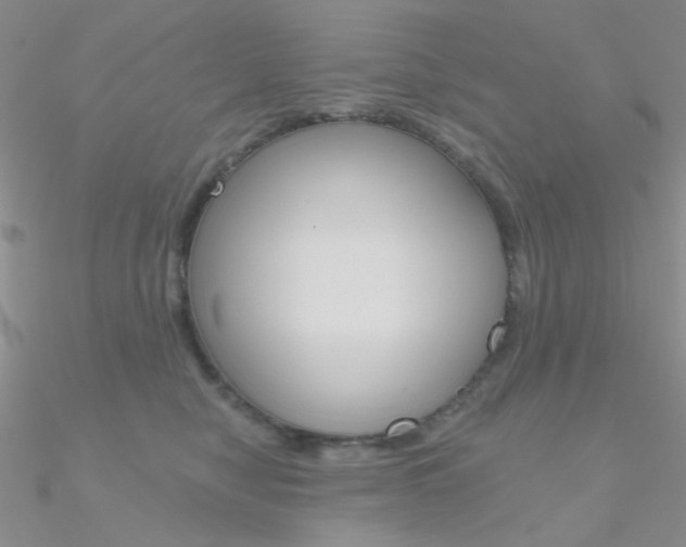 X0000090970470200708021146