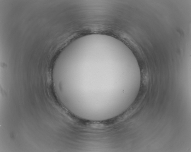X0000090970471200708021146