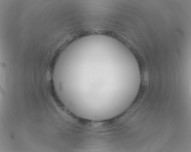 X0000090970472200708021146