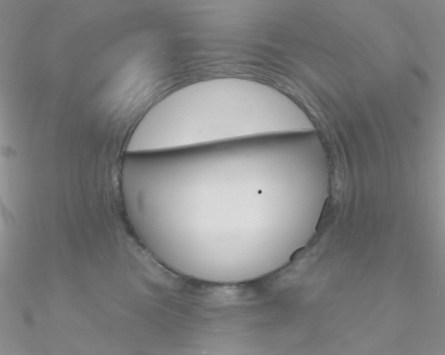 X0000090970473200708021146