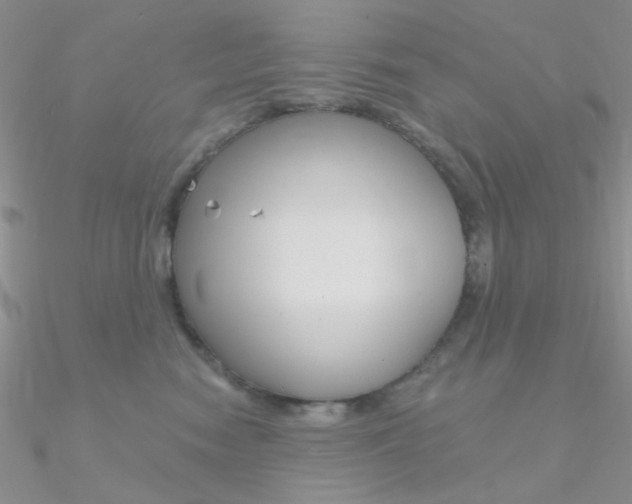 X0000090970474200708021146
