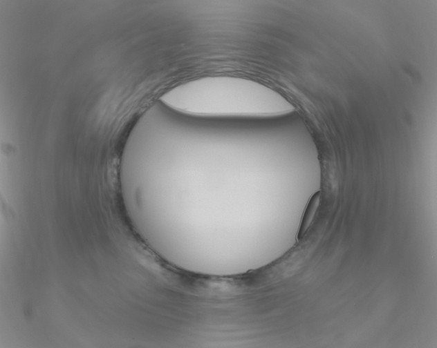 X0000090970475200708021146