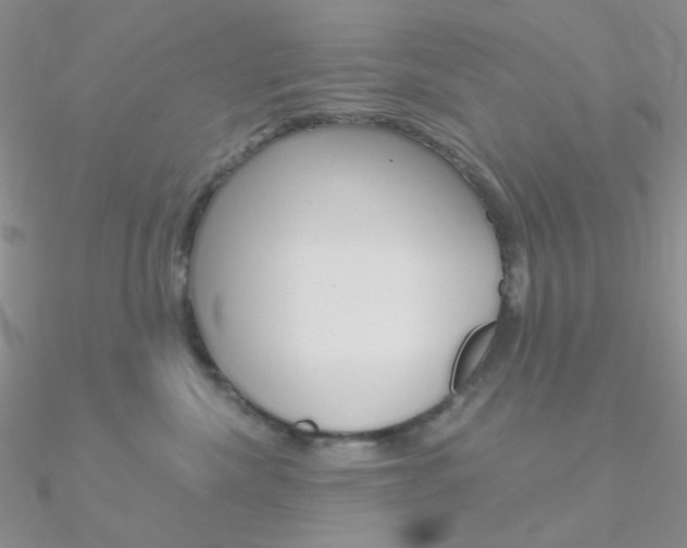 X0000090970476200708021146