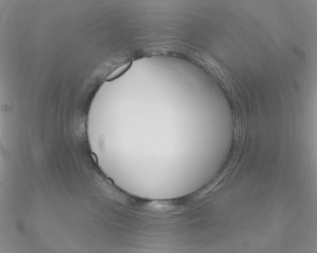 X0000090970477200708021146