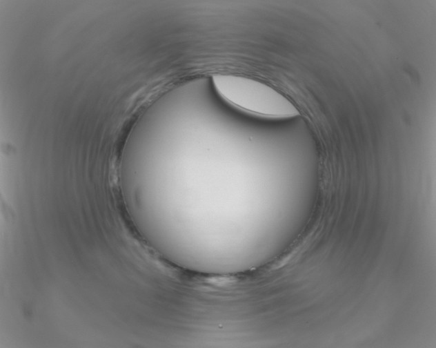 X0000090970478200708021146
