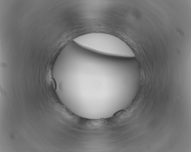 X0000090970479200708021146