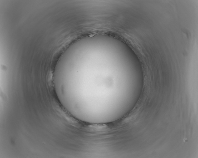 X0000090970480200708021146