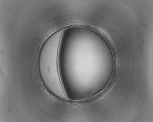 X0000090970481200708021146