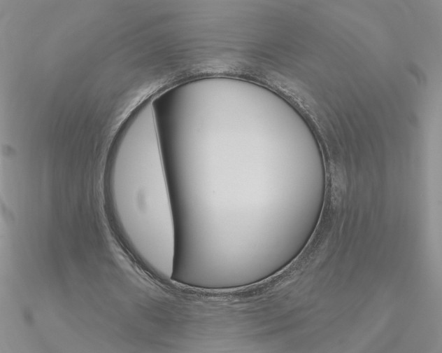 X0000090970482200708021146