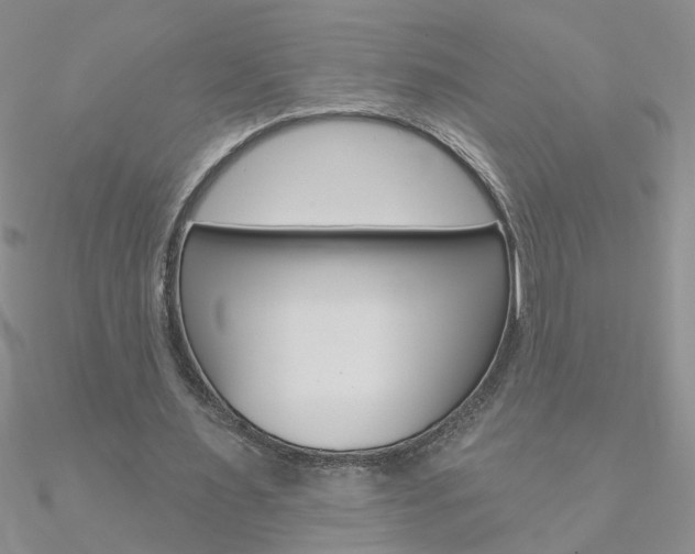 X0000090970483200708021146