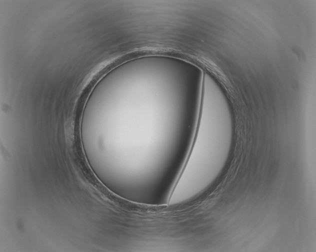 X0000090970484200708021146