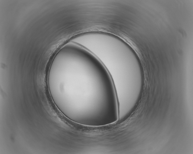 X0000090970485200708021146