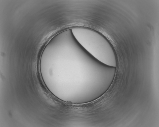 X0000090970486200708021146