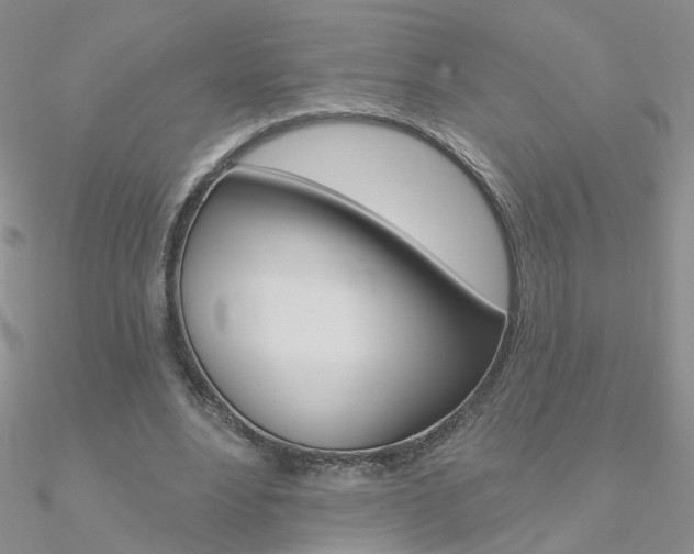 X0000090970488200708021145