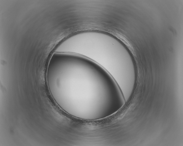X0000090970489200708021145