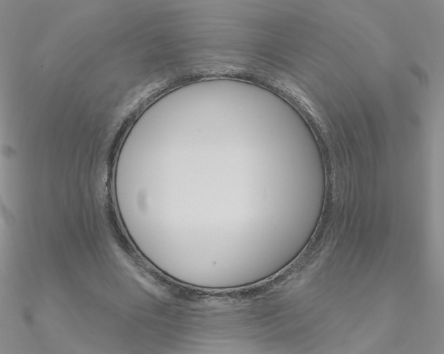 X0000090970490200708021145
