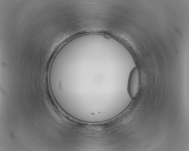 X0000090970491200708021145