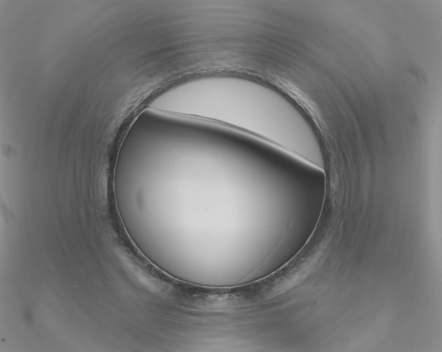 X0000090970493200708021145