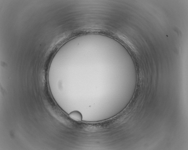X0000090970494200708021145