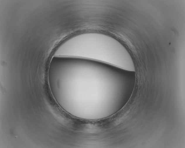 X0000090970496200708021145