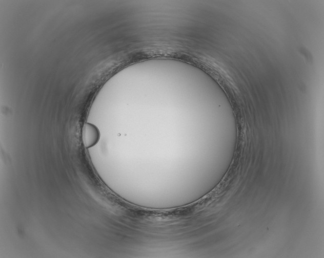 X0000090970498200708021145