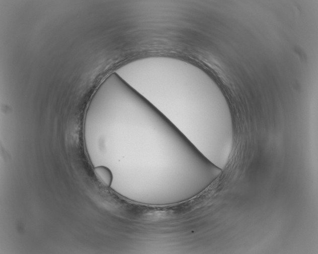 X0000090970499200708021145