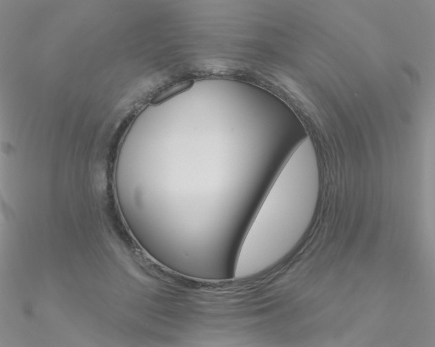 X0000090970500200708021145