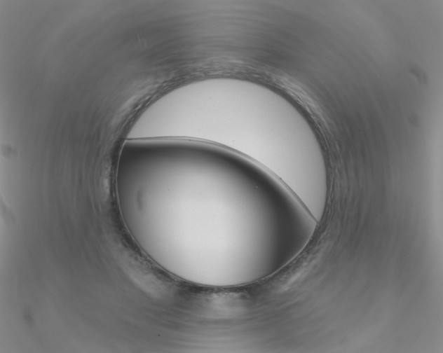 X0000090970501200708021145