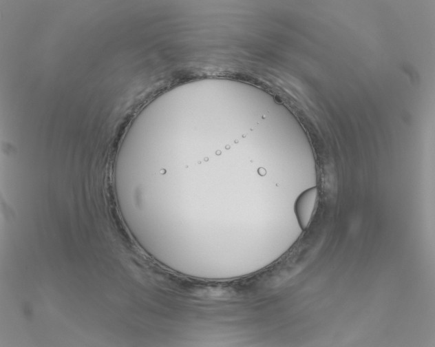 X0000090970503200708021145