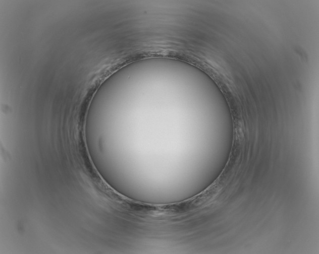 X0000090970504200708021145