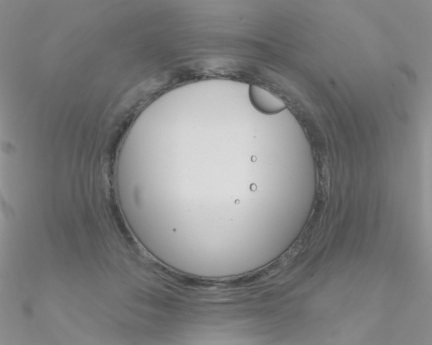 X0000090970506200708021145