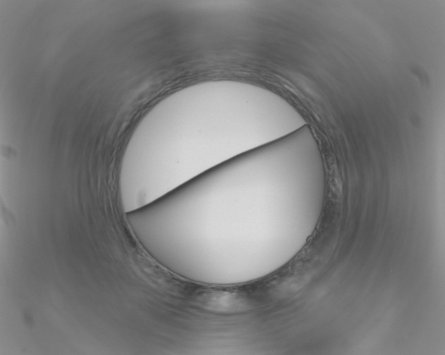 X0000090970507200708021145