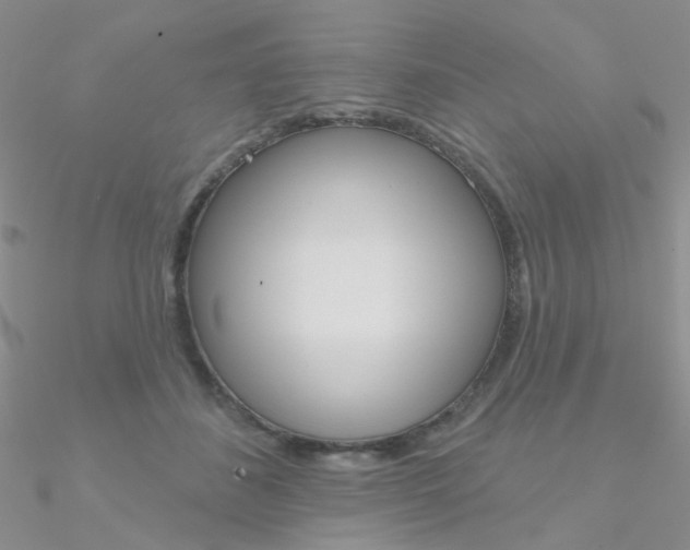 X0000090970508200708021145