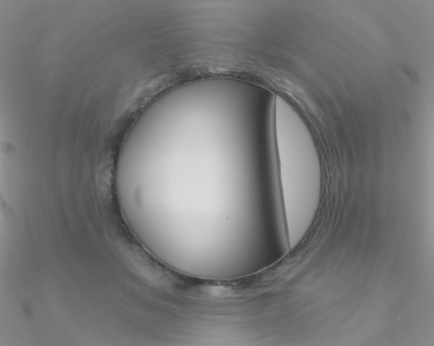 X0000090970509200708021145