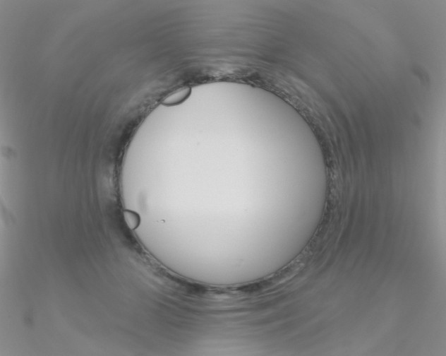 X0000090970510200708021145