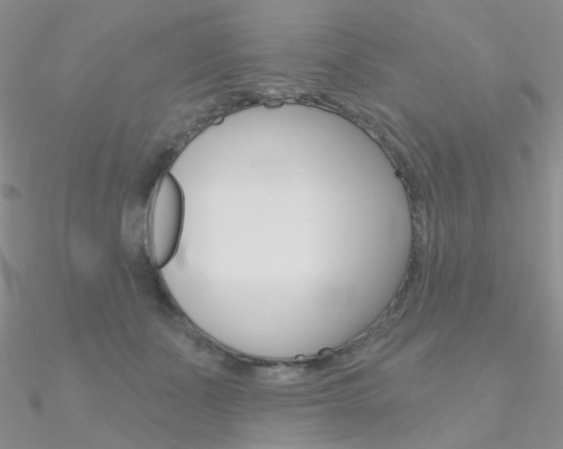 X0000090970511200708021145