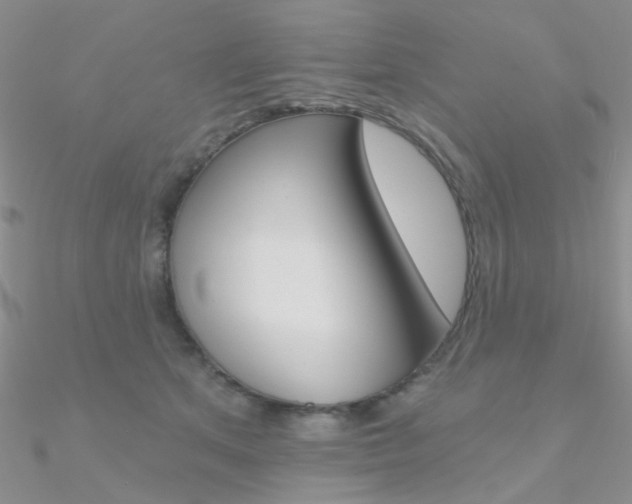 X0000090970513200708021145