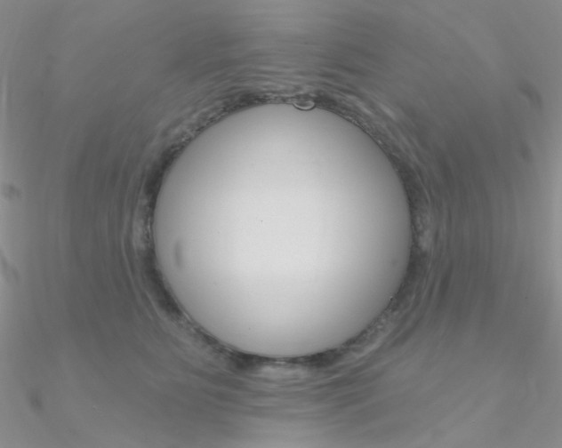 X0000090970515200708021145