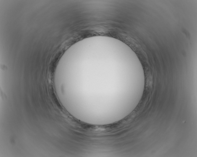 X0000090970518200708021145