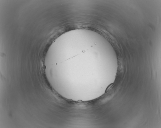 X0000090970523200708021145
