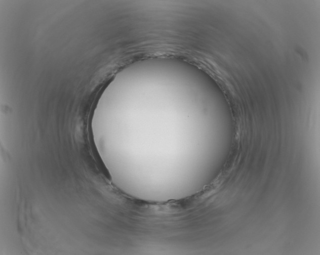 X0000090970524200708021145