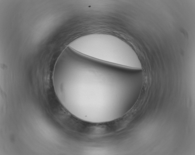 X0000090970525200708021145