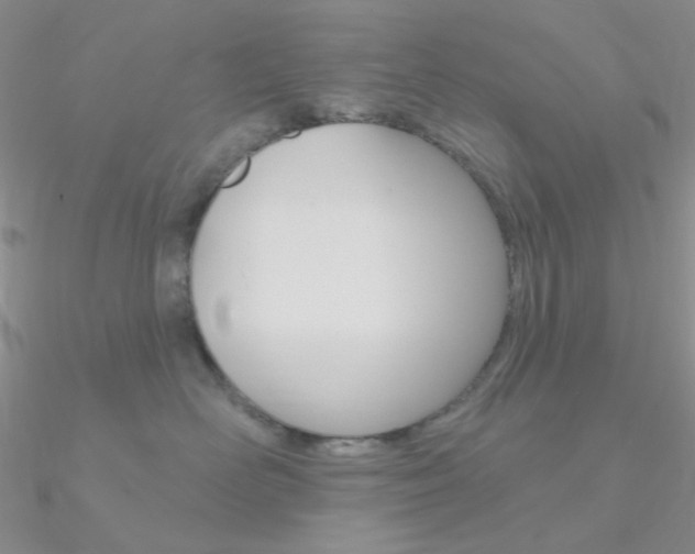 X0000090970526200708021145