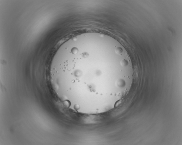 X0000090970527200708021145