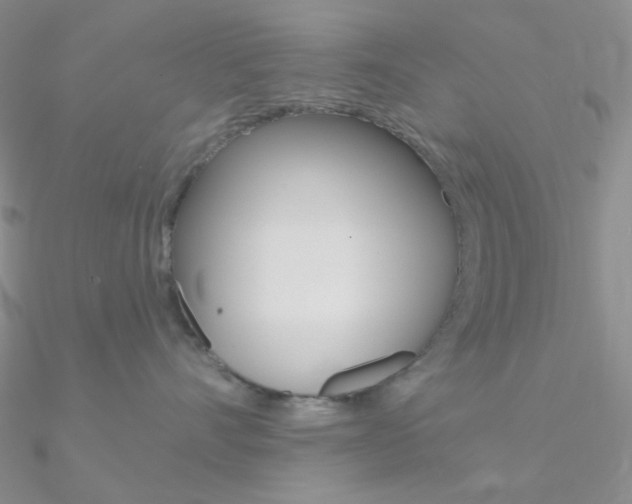 X0000090970528200708021145