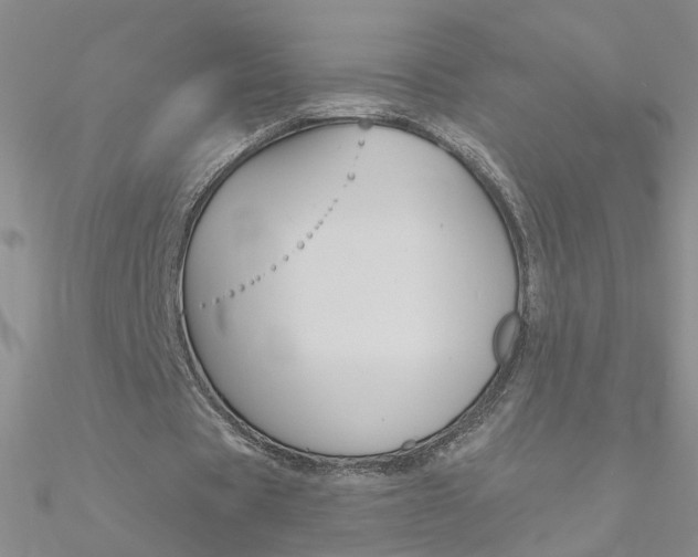 X0000090970529200708021144