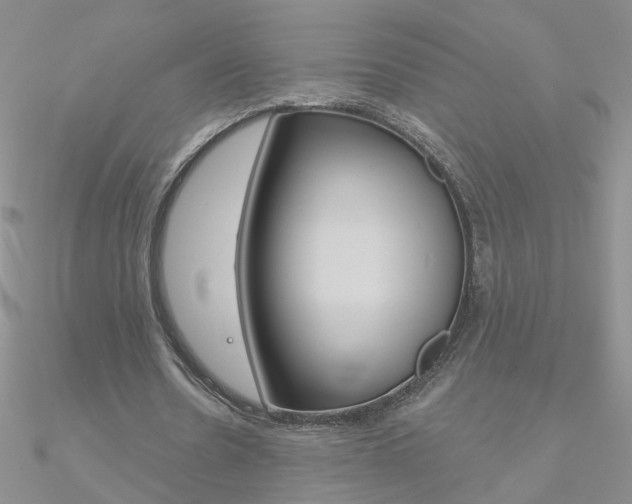 X0000090970530200708021144