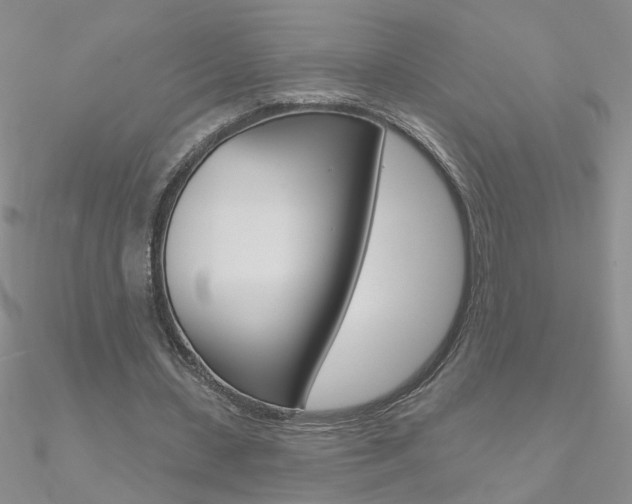 X0000090970531200708021144