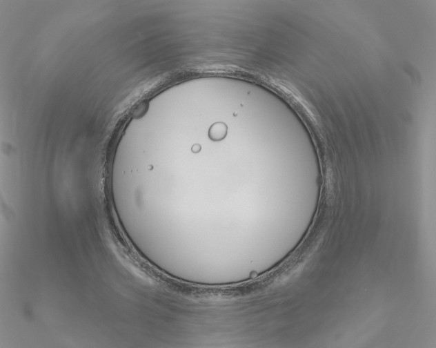 X0000090970533200708021144